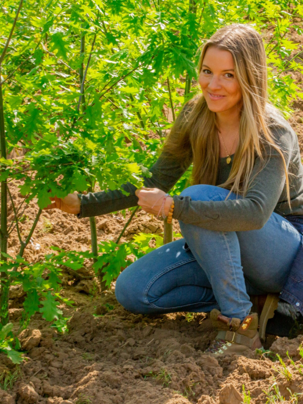 Plant a Tree Project: Gifting Tree, Memorial Tree, Environmental donation.